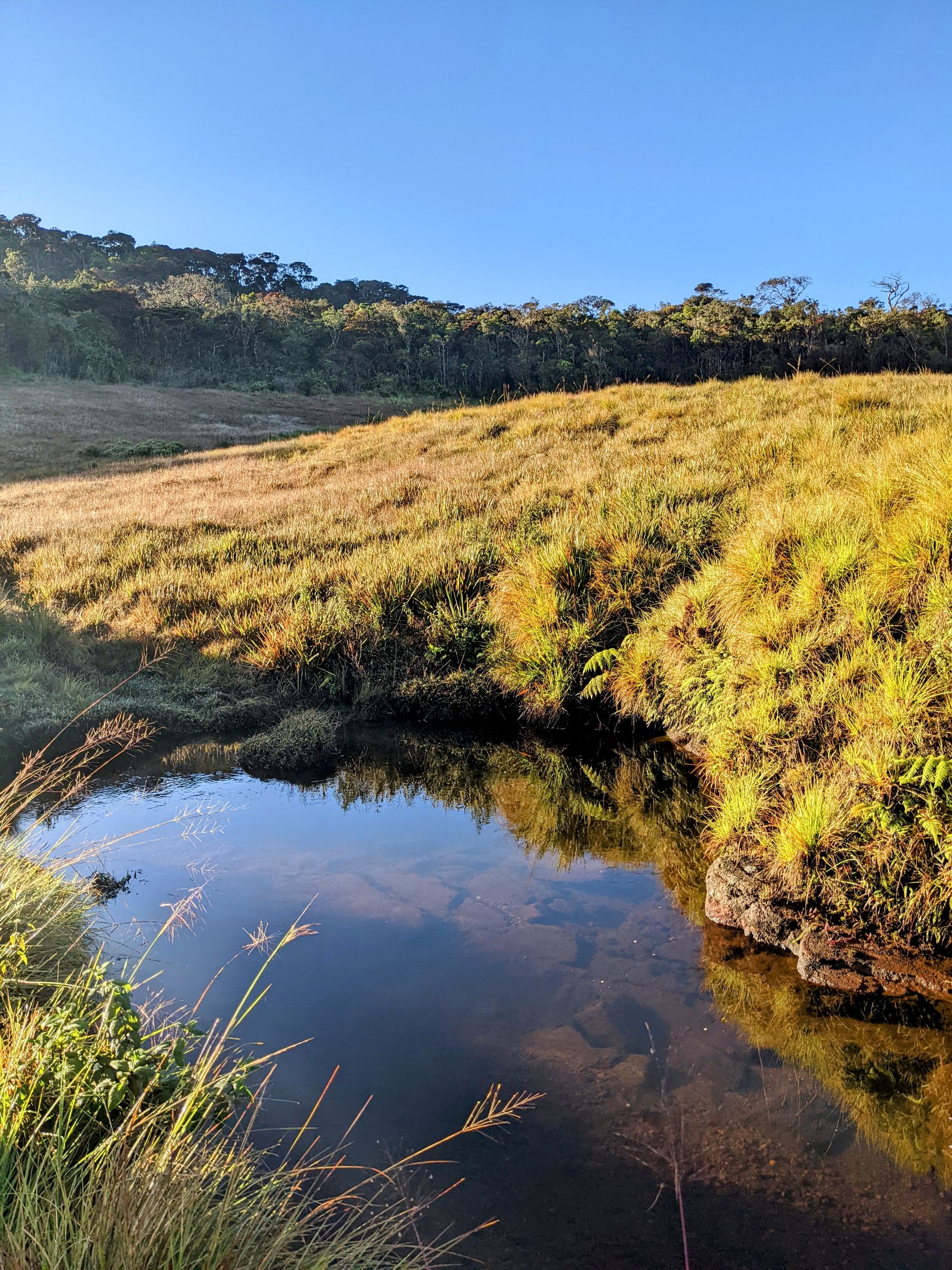 Upper Gartmore Camping [2022]